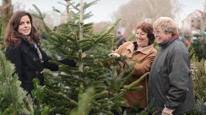 Gehört zum Christbaummarkt an der Kreuzeiche wie das Jesuskindle zum Weihnachtsfest: Beschicker Roland Stockinger. FOTO: TRINKHA