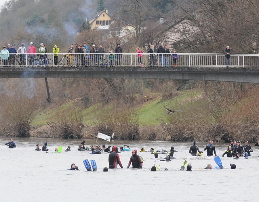 Neckarabschwimmen Tübingen 2013