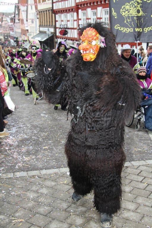 Fasnetsumzug Hungerberghexen Münsingen Januar 2013