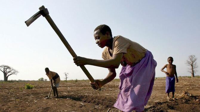 Im Kampf gegen den Hunger auf der Erde fordert die Welternährungsorganisation mehr Investitionen in die Landwirtschaft ärmere