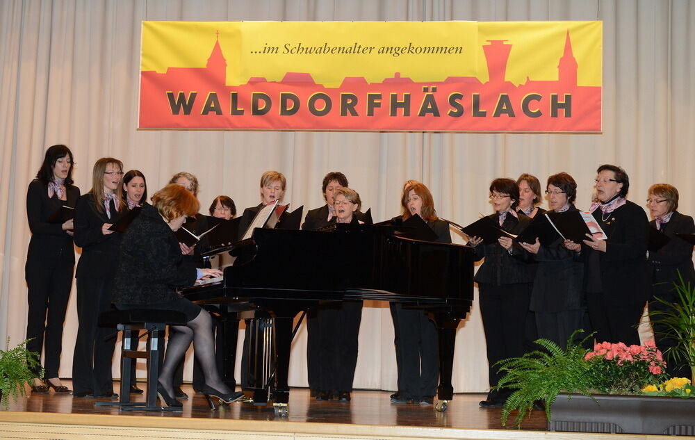 Neujahrsempfang Walddorfhäslach 2013