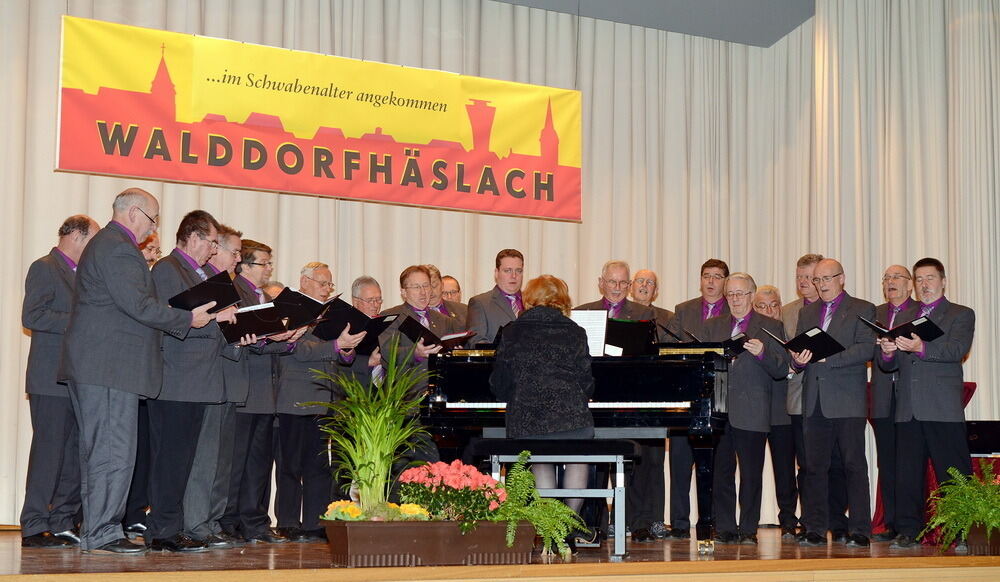 Neujahrsempfang Walddorfhäslach 2013