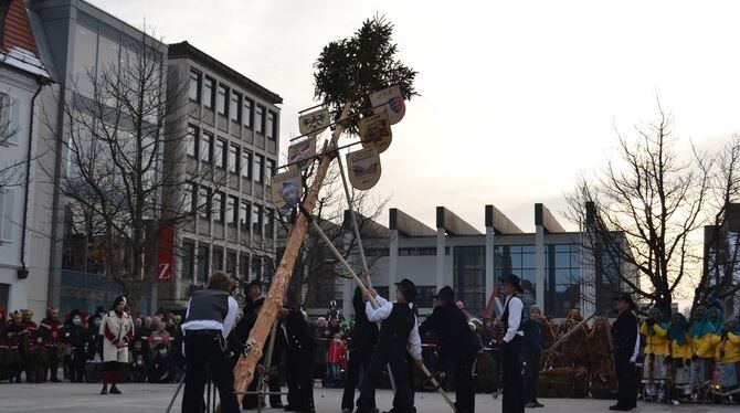 Sondelfinger Zimmermänner brachten den Narrenbaum auf dem Marktplatz in die Senkrechte. FOTO: RABE