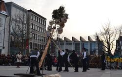 Sondelfinger Zimmermänner brachten den Narrenbaum auf dem Marktplatz in die Senkrechte. FOTO: RABE