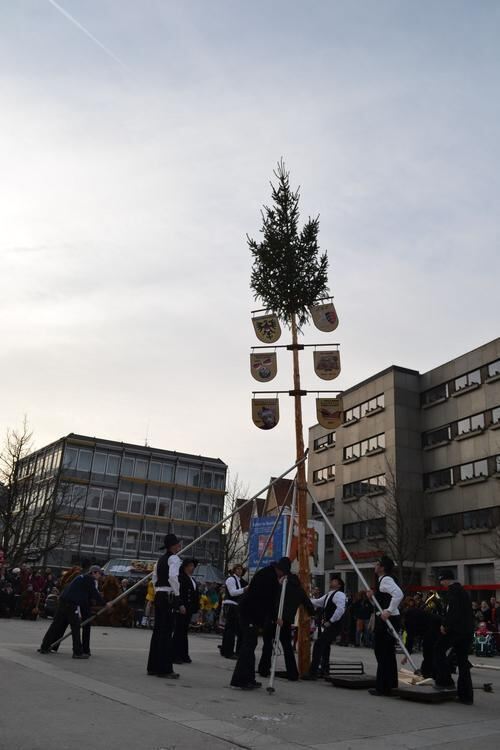 Sternmarsch und Narrenbaum stellen Reutlingen 2013