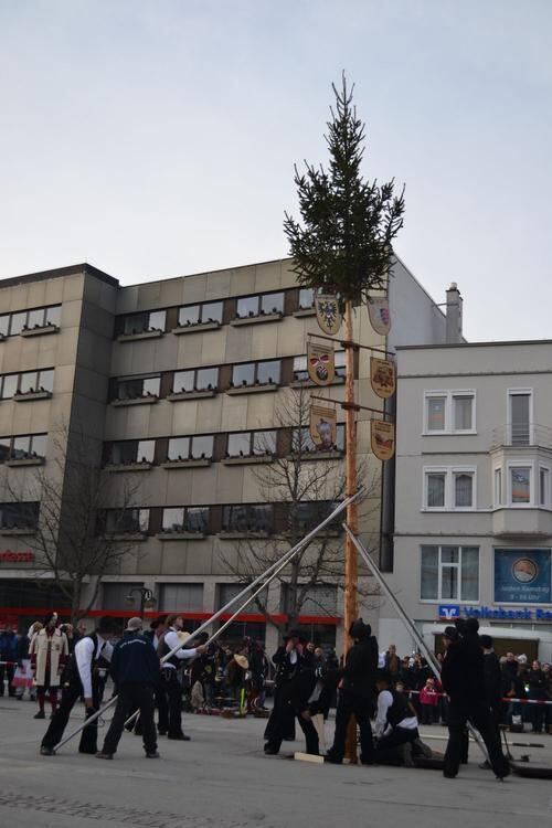 Sternmarsch und Narrenbaum stellen Reutlingen 2013