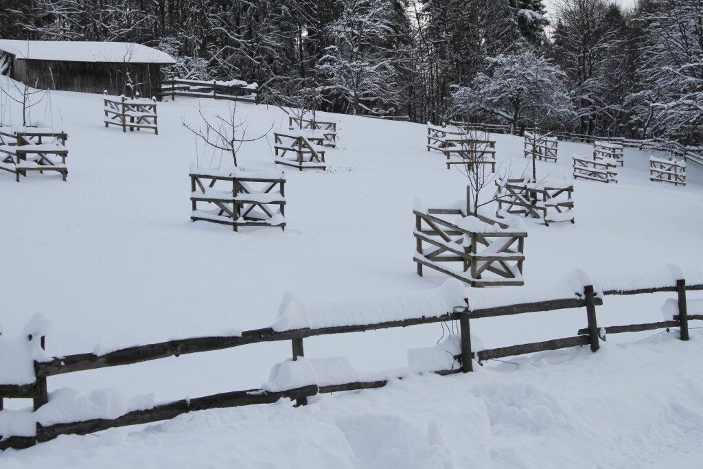 Ski und Rodel gut Winterzauber auf der Alb 2013