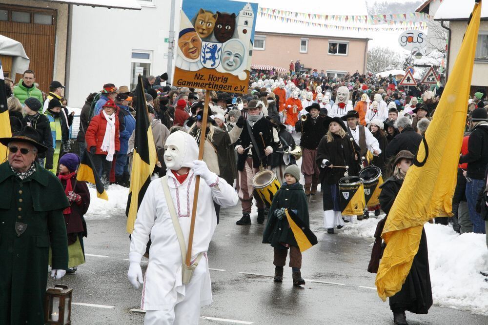 Fasnetsumzug in Engstingen Februar 2013