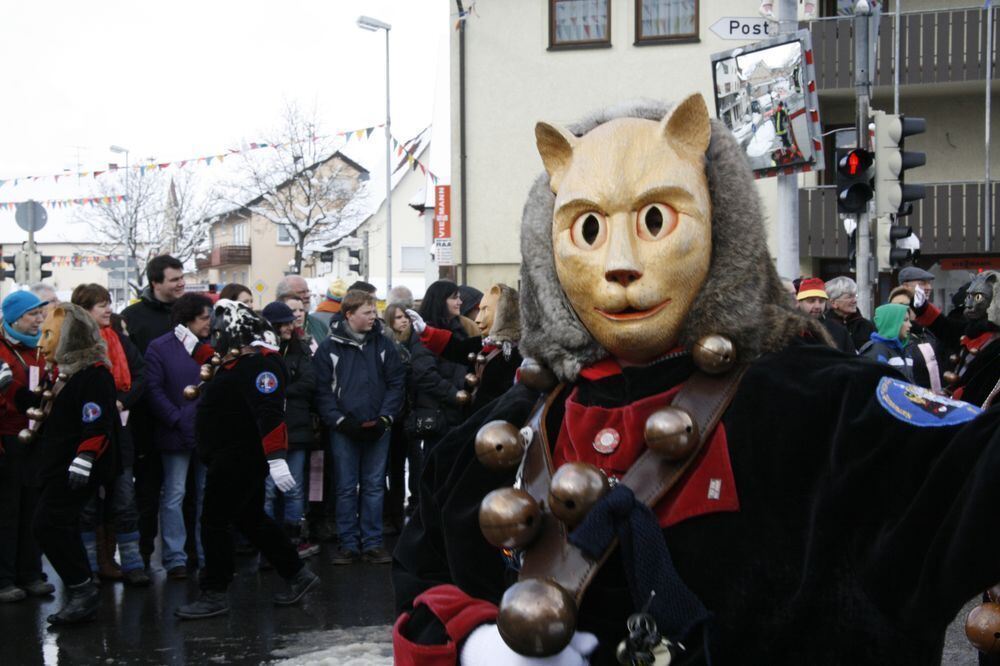 Fasnetsumzug in Engstingen Februar 2013