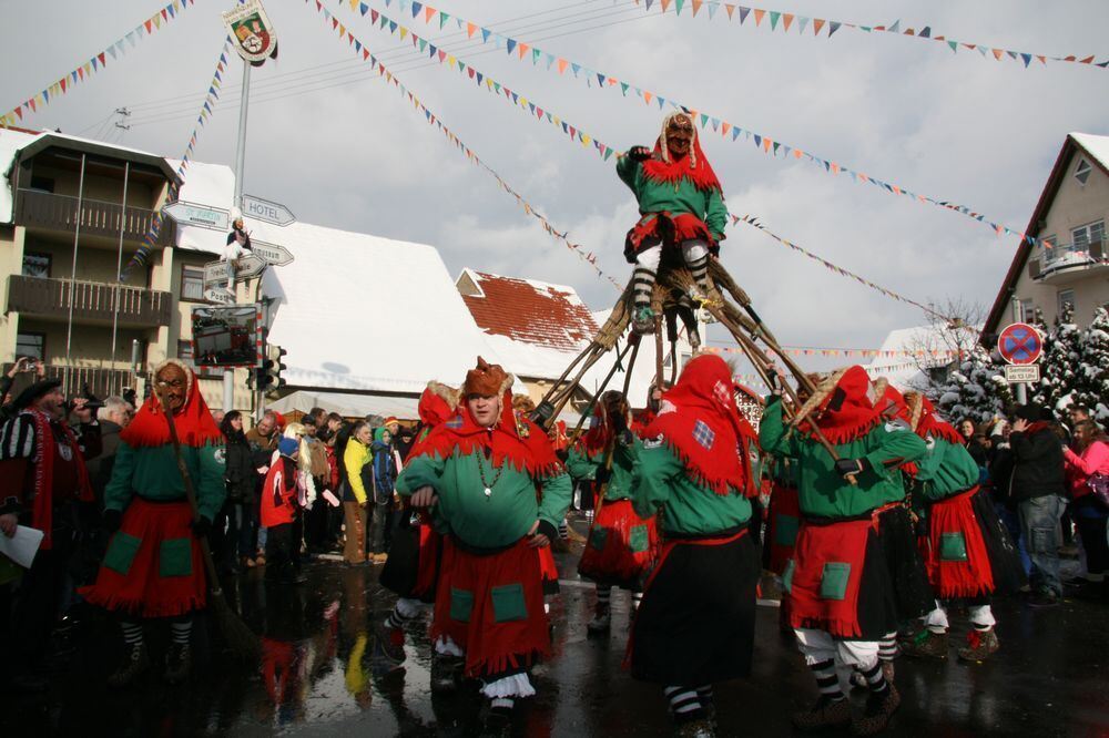 Fasnetsumzug in Engstingen Februar 2013