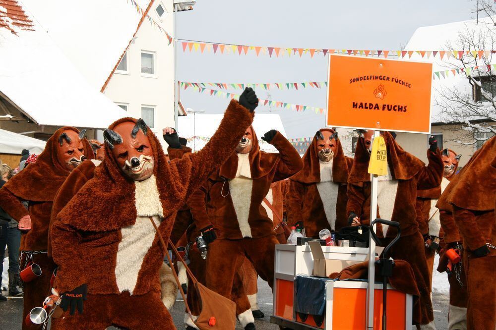 Fasnetsumzug in Engstingen Februar 2013