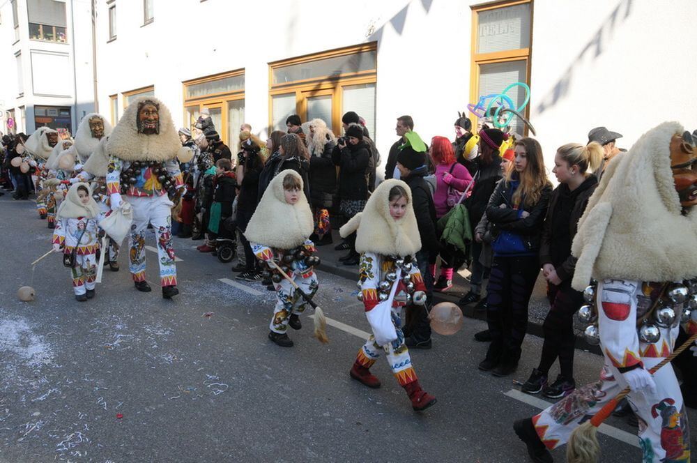 Fasnetsumzug Rottenburg Februar 2013