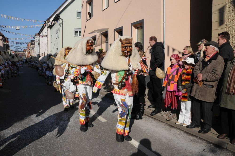 Fasnetsumzug Rottenburg Februar 2013