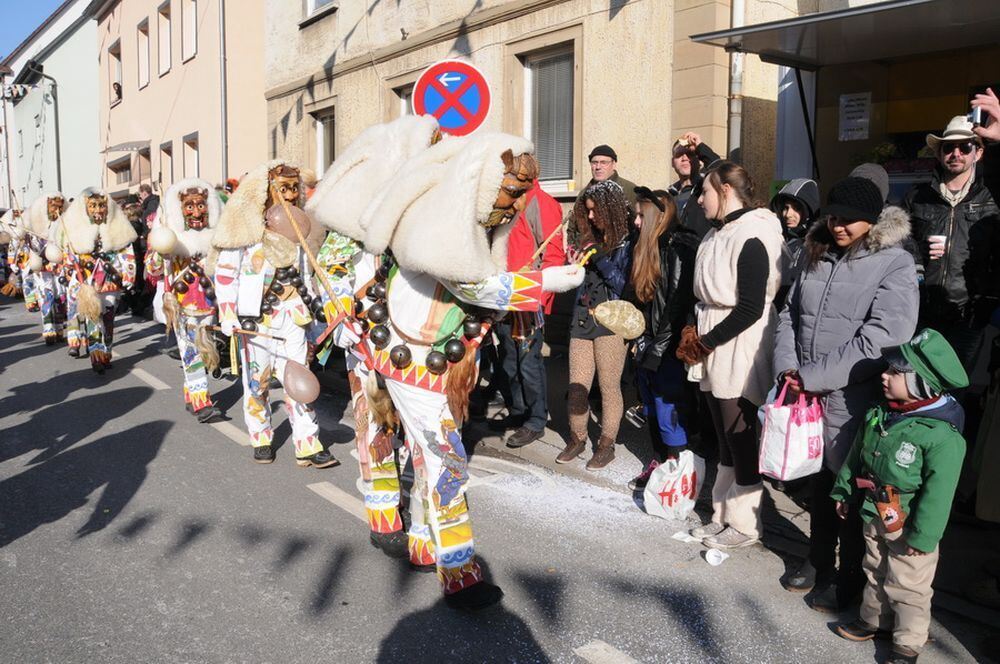 Fasnetsumzug Rottenburg Februar 2013