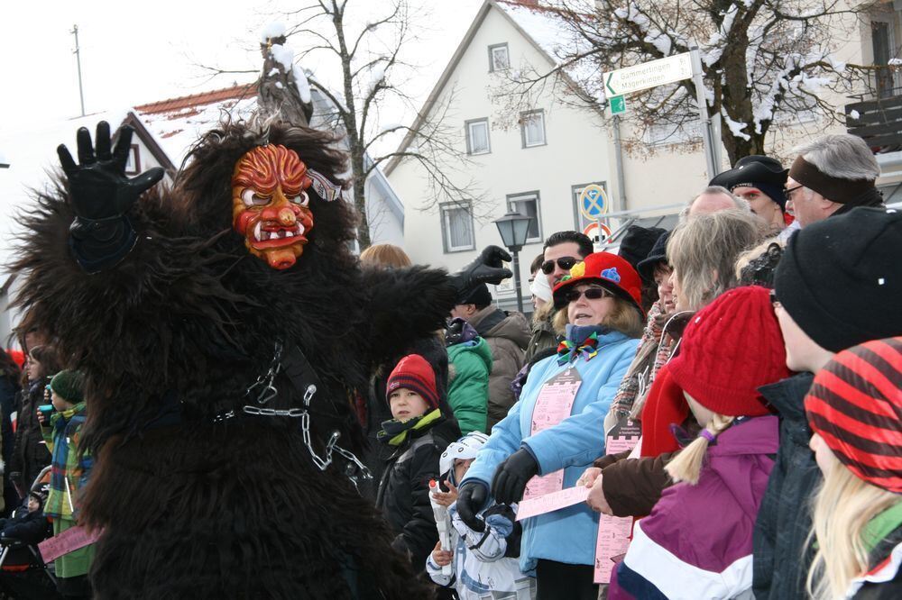 Fasnetsumzug in Trochtelfingen Februar 2013