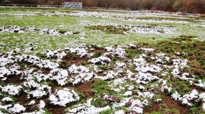 Sieht aus wie Ackerland, ist aber ein Fußballfeld: Wildschweine haben im Markwasen ihre Spuren hinterlassen. FOTO: BILLES