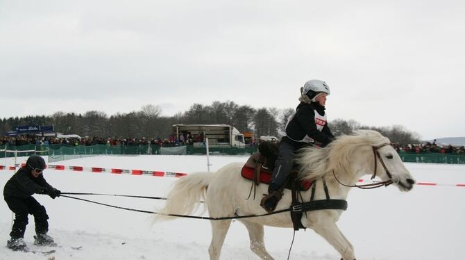 Skijöring Holzelfingen Februar 2013