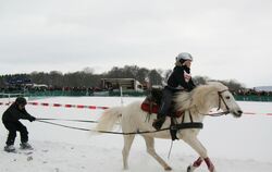 Skijöring Holzelfingen Februar 2013