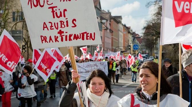 Landesangestellte streiken in Tübingen. FOTO: MSC