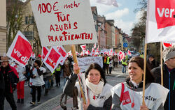 Streik im öffentlichen Dienst Tübingen Februar 2013