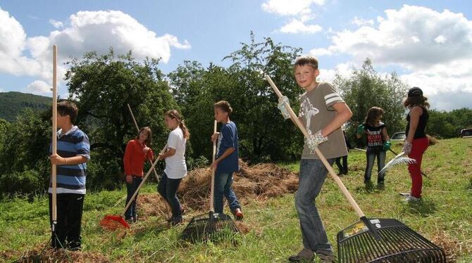 Fünftklässler der Realschule Bad Urach beim Heuen. Das Streuobstprojekt der Schule wurde, wie rund 360 verschiedene andere im La