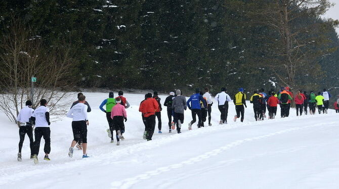 Alb-Gold Winterlauf-Cup 2013 Trochtelfingen