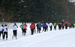 Alb-Gold Winterlauf-Cup 2013 Trochtelfingen