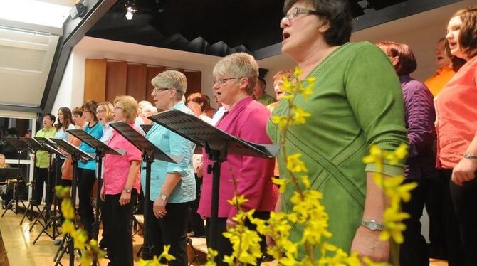 Chörle präsentierte Pophits und Schlager der letzten 90 Jahre beim Konzert in der Zehntscheuer.  GEA-FOTO: MEYER