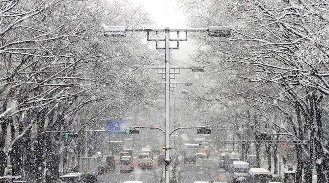 Heftiger Schneefall über Tokio. Im Norden des Landes kosteten die schweren Schneefälle mindestens acht Menschen das Leben. Fo