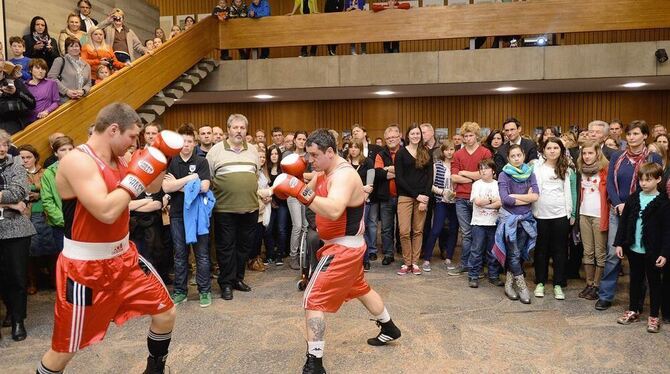 Weibliche und männliche Boxer des SSV Reutlingen, darunter auch einige, die ob ihrer Erfolge gestern ausgezeichnet wurden, zeigt