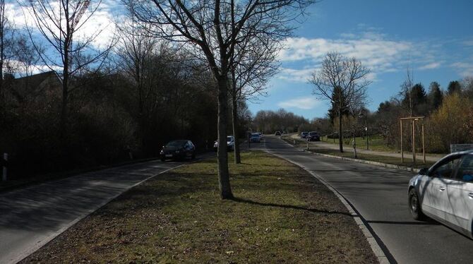 Die Bachstraße ist eine der neuralgischen Verkehrsachsen, die durch Pliezhausen führen. Dass dort immer wieder mal zu schnell ge