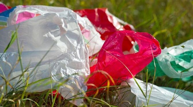 Auf umweltschädliche Plastiktüten sollte nach Überlegungen der Grünen künftig eine Steuer von 22 Cent erhoben werden. Foto: P