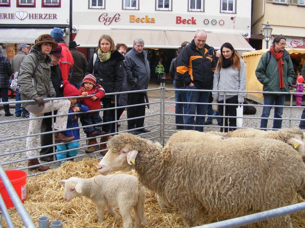 Lamm-Event Bad Urach 2013