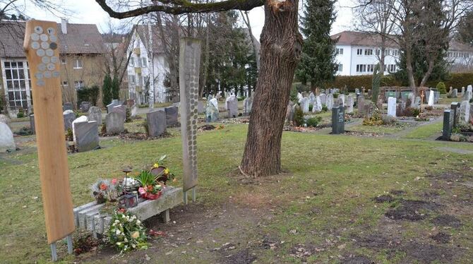 Das Urnenbaumreihengrab auf dem Pfullinger Friedhof. Auch die Gebühren für diese Bestattungsart steigen. GEA-FOTO: SAUTTER