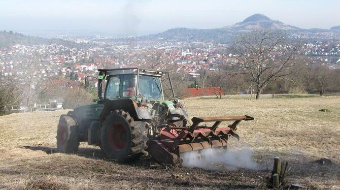 So wie hier vor einem Jahr auf der Pfullinger »Kleinen Wanne« sollen auch anderswo im Landkreis die Aktivitäten der Landschaftsp