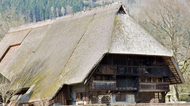 Der Vogtsbauernhof in Gutach. FOTO: dpa