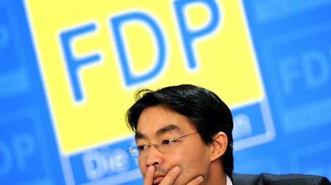 Der FDP-Bundesvorsitzende Philipp Rösler.