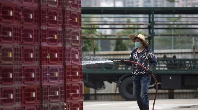 Ein Arbeiter reinigt leere Käfige auf einem Geflügelmarkt in Hong Kong. Foto: Jerome Favre