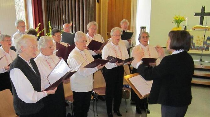 Der in Metzingen probende Siebenbürger Chor gestaltete den Gottesdienst nach Siebenbürger Liturgie in der Pfullinger Magdalenenk