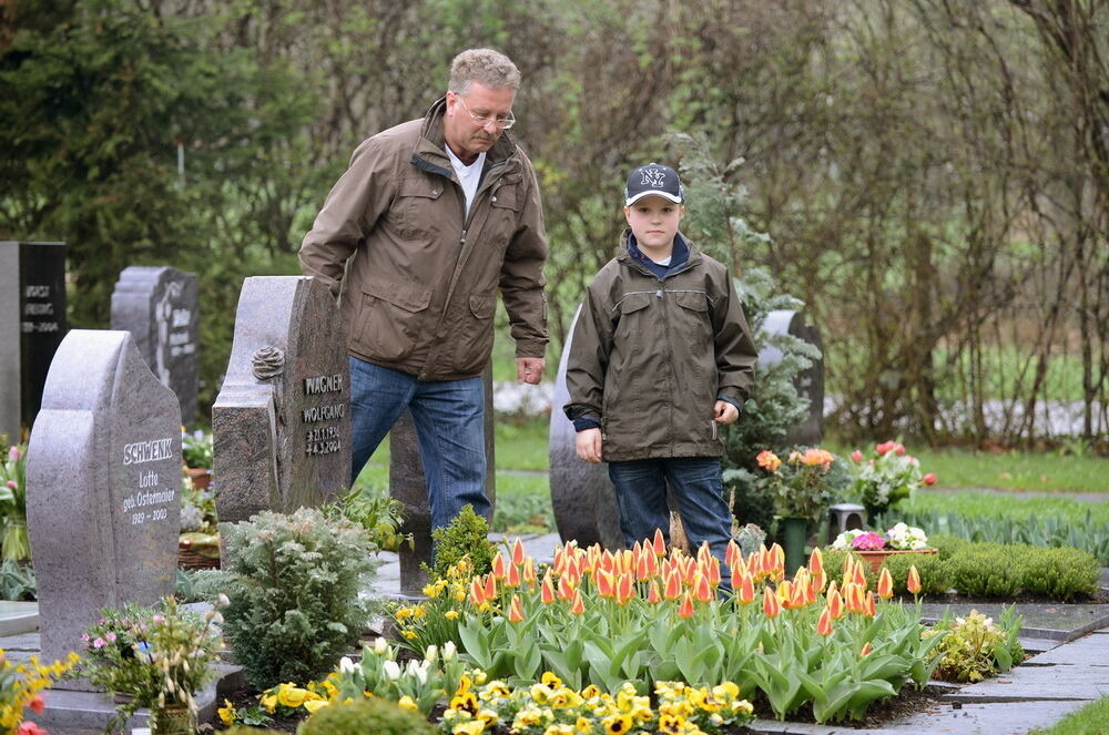 Tulpenblüte Gönningen 2013