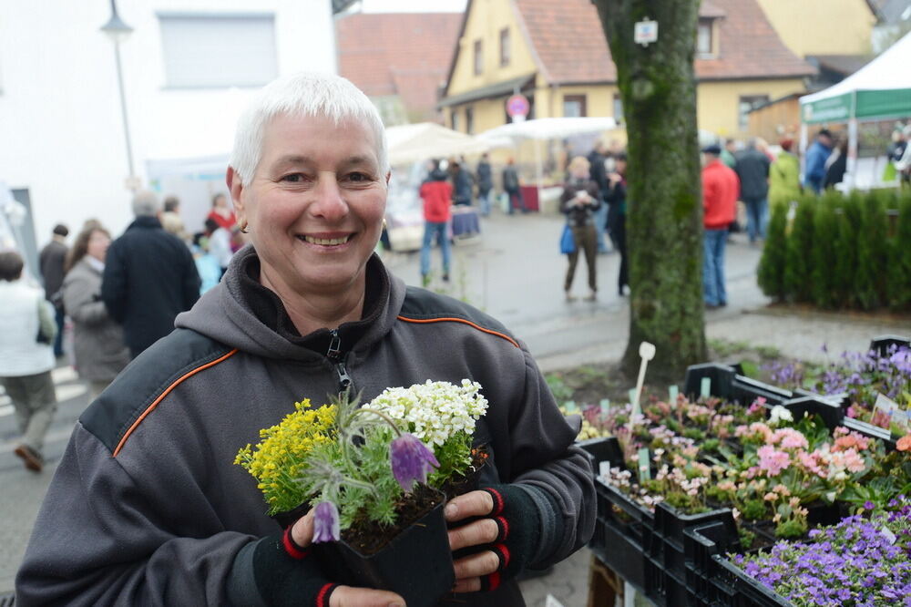 Tulpenblüte Gönningen 2013