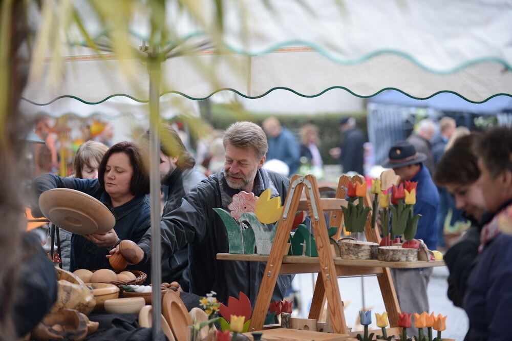 Tulpenblüte Gönningen 2013