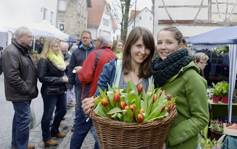 Tulpenblüte Gönningen 2013