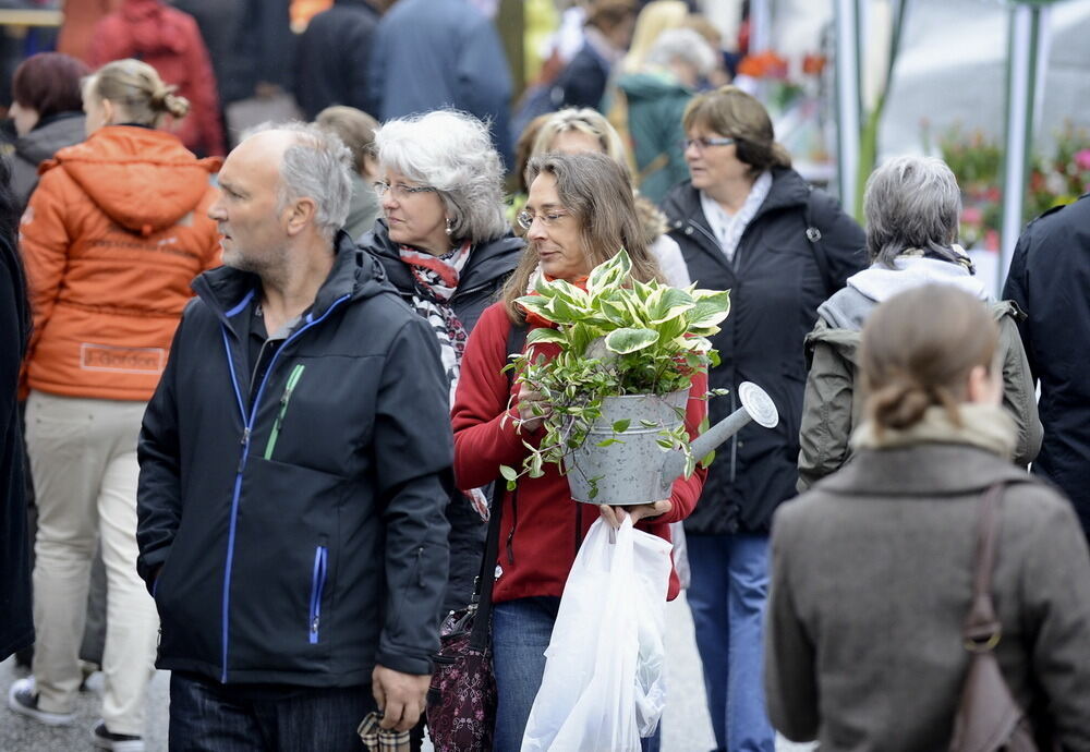 Tulpenblüte Gönningen 2013