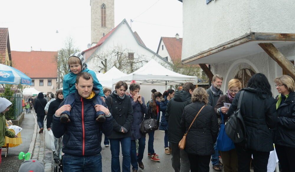 Tulpenblüte Gönningen 2013