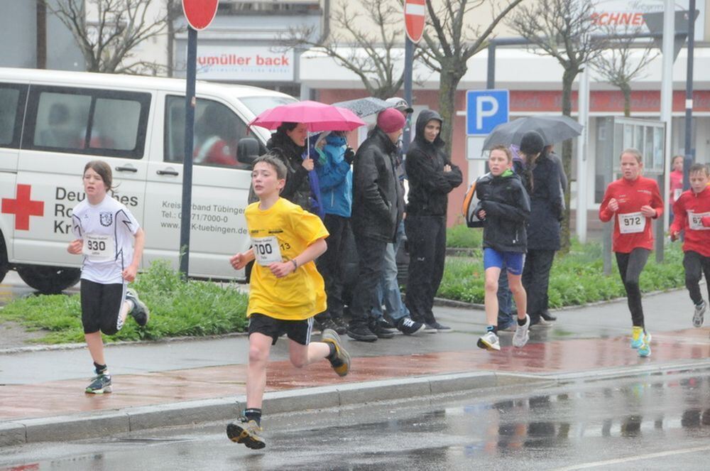 Mössinger Stadtlauf 2013