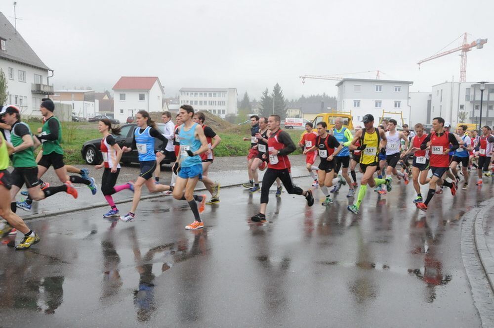 Mössinger Stadtlauf 2013