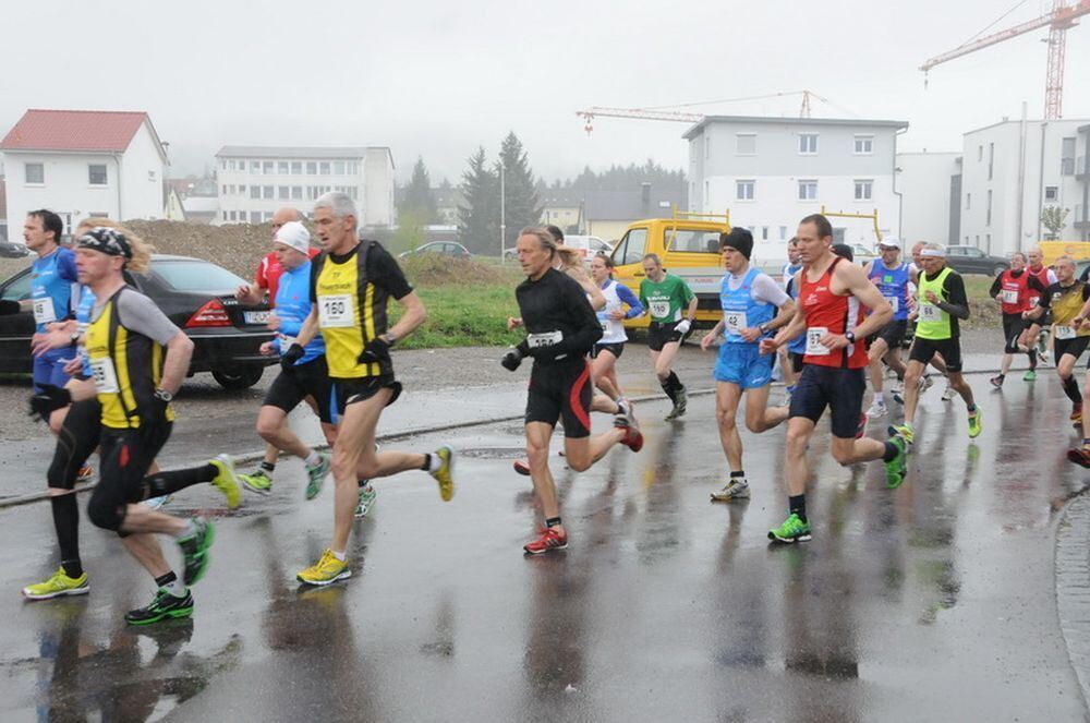 Mössinger Stadtlauf 2013