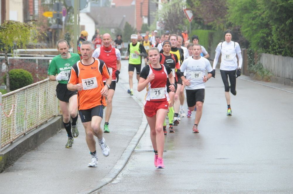 Mössinger Stadtlauf 2013