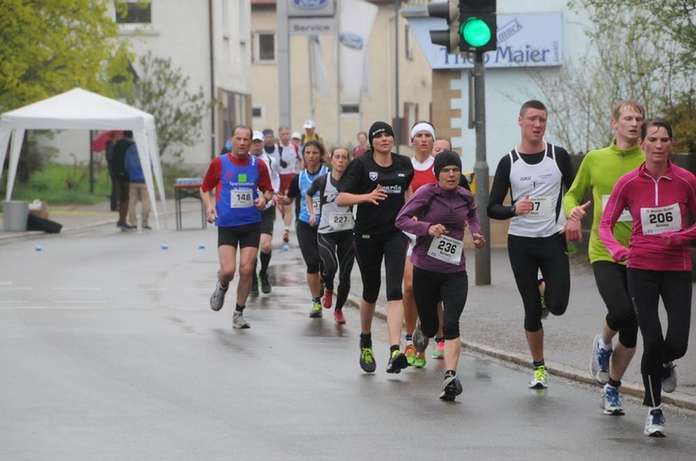 Mössinger Stadtlauf 2013